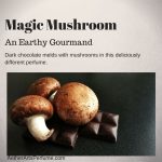 عطر ادکلن مجیک ماشروم ایتر آرتس پرفیوم - Magic Mushroom Aether Arts Perfume - بررسی، قیمت و خرید