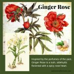 عطر ادکلن جینجر رز ایثر آرتس پرفیوم - Ginger Rose Aether Arts Perfume - بررسی، قیمت و خرید