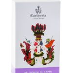 عطر ادکلن جِلزومینی دی کاپری دوهزار و هفده کارتوزیا - Gelsomini di Capri 2017 Carthusia - بررسی، قیمت و خرید