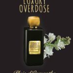 عطر ادکلن لاکسری اوردوز پوئی دوزمانته ابسولومنت پارفیومر - Luxury Overdose Pluie d'Osmanthe Absolument Parfumeur - بررسی، قیمت و خرید
