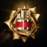 عطر ادکلن سی اچ اینسیگنیا کارولینا هررا - CH Insignia Carolina Herrera - بررسی، قیمت و خرید
