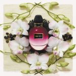 عطر ادکلن لومینوس ارکید الکساندر مک کوئین - Luminous Orchid Alexander McQueen - بررسی، قیمت و خرید