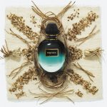 عطر ادکلن وتیور ماس الکساندر مک کویین - Vetiver Moss Alexander McQueen - بررسی، قیمت و خرید