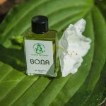 عطر ادکلن واتر اسیدیکا پرفیومز - Water (Вода) Acidica Perfumes - بررسی، قیمت و خرید