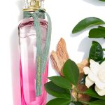 عطر ادکلن آگوا فرسکا د گاردنیا ماسک آدولفو دومینگز - Agua Fresca de Gardenia Musk Adolfo Dominguez - بررسی، قیمت و خرید