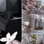 عطر ادکلن ویلا سیمون پارفوم ابسولو الکس سیمون - Villa Simone Parfum Absolu Alex Simone - بررسی، قیمت و خرید