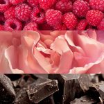 عطر ادکلن یوفوریا بلاش کلین کلاین - Euphoria Blush Calvin Klein - بررسی، قیمت و خرید