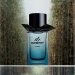عطر ادکلن مستر بربری المنت بربری - Mr. Burberry Element Burberry - بررسی، قیمت و خرید