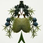 عطر ادکلن مستر بربری المنت بربری - Mr. Burberry Element Burberry - بررسی، قیمت و خرید