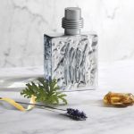 عطر ادکلن یک هزار و هشتصد و هشتاد و یک سیلور چروتی - 1881 Silver Cerruti - بررسی، قیمت و خرید