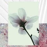 عطر ادکلن بلوم آکوالیس - Blom Aqualis - بررسی، قیمت و خرید
