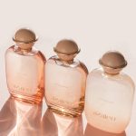 عطر ادکلن سان تو سول آزالئو - Sun to Soul Azaleo - بررسی، قیمت و خرید