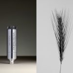 عطر ادکلن انکپسیولیتد سان کور ولاتیلز - Encapsulated Sun Corps Volatils - بررسی، قیمت و خرید