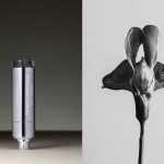 عطر ادکلن ترنسندید روز کور ولتیل - Transcended Rose Corps Volatils - بررسی، قیمت و خرید