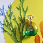 عطر ادکلن ماراگوستو اواتیم - Mar a Gosto Avatim - بررسی، قیمت و خرید