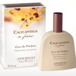 عطر ادکلن کالیکانتوس این فیوره آمریگو - Calycanthus In Fiore Amerigo - بررسی، قیمت و خرید