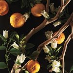 عطر ادکلن هایکو اینتنس ایوون - Haiku Intense Avon - بررسی، قیمت و خرید