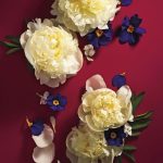 عطر ادکلن هایکو کیوتو فلاور اینتنس ایوون - Haiku Kyoto Flower Intense Avon - بررسی، قیمت و خرید