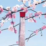 عطر ادکلن هانامی آنیایک - Hanami Annayake - بررسی، قیمت و خرید