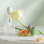 عطر ادکلن ماندارین و ماته ورت کارلوتا ری - Mandarine & Maté Vert Carlotha Ray - بررسی، قیمت و خرید