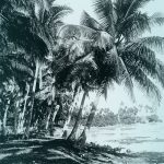 عطر ادکلن اُر دِزیل چریگان - Or Des Îles Cherigan - بررسی، قیمت و خرید