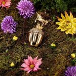 عطر ادکلن فانتزیا گلد ادیشن آنا سویی - Fantasia Gold Edition Anna Sui - بررسی، قیمت و خرید