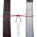عطر ادکلن آنه یاکه پور لویی آناياکه - Annayake Pour Lui Annayake - بررسی، قیمت و خرید
