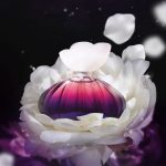 عطر ادکلن فلورال میستری آبله راینها - Floralle Mystery Abelha Rainha - بررسی، قیمت و خرید