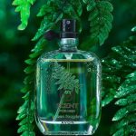 عطر ادکلن گرین فوژر اِی‌وون - Green Fougère Avon - بررسی، قیمت و خرید