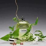 عطر ادکلن کارین کارین رویتفلد - Carine Carine Roitfeld - بررسی، قیمت و خرید