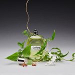 عطر ادکلن کارین کارین رویتفلد - Carine Carine Roitfeld - بررسی، قیمت و خرید