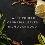 عطر ادکلن ارتیزان کنابیس عود اِیوان - Artisan Cannabis Oud Avon - بررسی، قیمت و خرید
