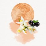 عطر ادکلن دوژو فور هر آنیاکه - Dojou For Her Annayake - بررسی، قیمت و خرید