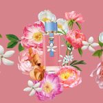 عطر ادکلن الگریا د ویویر کارولینا هررا - Alegria de Vivir Carolina Herrera - بررسی، قیمت و خرید