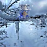 عطر ادکلن بلومون جینجر دش بای کیلیان - Blue Moon Ginger Dash By Kilian - بررسی، قیمت و خرید