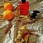 عطر ادکلن آمبره نو اتلیه کلن - Ambre Nue Atelier Cologne - بررسی، قیمت و خرید