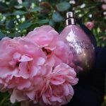 عطر ادکلن میس اِی‌پی ایجنت پرووُکاتور - Miss AP Agent Provocateur - بررسی، قیمت و خرید