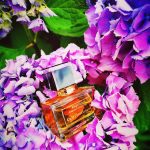 عطر ادکلن کور فلوریسان آنجلس کریشنز اولفکتیوز - Cuir Fleurissant Angelos Créations Olfactives - بررسی، قیمت و خرید