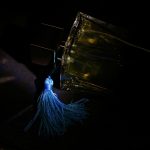 عطر ادکلن ساب‌لایم چوگان - Sublime Chaugan - بررسی، قیمت و خرید