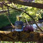 عطر ادکلن آرتیستیک ویستریا سابلایم اِیوُن - Artistique Wisteria Sublime Avon - بررسی، قیمت و خرید