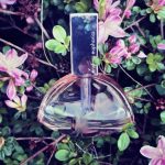 عطر ادکلن اندلس افوریا کلوین کلاین - Endless Euphoria Calvin Klein - بررسی، قیمت و خرید