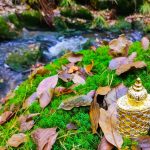 عطر ادکلن سفا اس پی اصغرعلی - Safa SP Asgharali - بررسی، قیمت و خرید