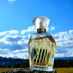 عطر ادکلن له مون کوتی - L'Aimant Coty - بررسی، قیمت و خرید