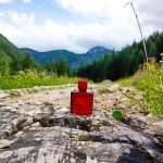 عطر ادکلن مدنس شوپارد - Madness Chopard - بررسی، قیمت و خرید