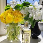 عطر ادکلن آنتونوکا و ویلد استرابری بروکارد - Антоновка и луговая клубника - Antonovka and Wild Strawberry Brocard - بررسی، قیمت و خرید