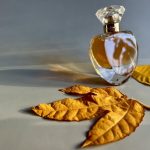 عطر ادکلن سن لایت کازموگونی - Sun Light Cosmogony - بررسی، قیمت و خرید