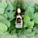 عطر ادکلن نعیمه عربسک پرفیومز - Naema Arabesque Perfumes - بررسی، قیمت و خرید