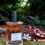 عطر ادکلن اود موزاییک 17 بنانا ریپابلیک - 17 Oud Mosaic Banana Republic - بررسی، قیمت و خرید