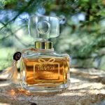 عطر ادکلن ترپیز کوردی - Trapeze Corday - بررسی، قیمت و خرید