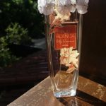 عطر ادکلن پربلانکا مای اسنس ایوان - Pur Blanca My Essence Avon - بررسی، قیمت و خرید
